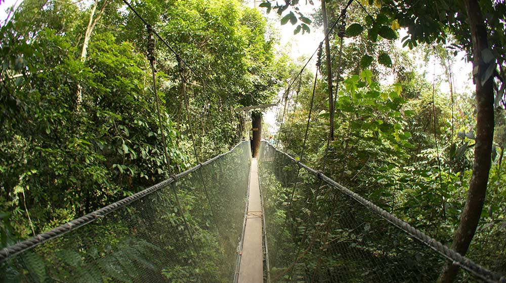 Poring Canopy Walkway