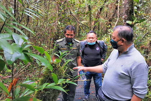 Tambunan's Gunung Alab offers a 'lung-cleansing' experience for tourists