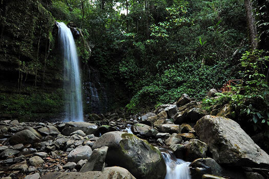 Crocker Range Park has Potential for Nature-based Healing Tourism