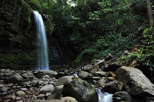 Crocker Range Park to become natural water tank for Sabahans